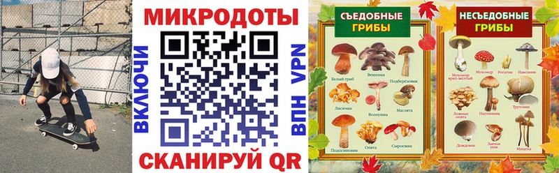 Псилоцибиновые грибы Psilocybine cubensis  ОМГ ОМГ tor  Починок 